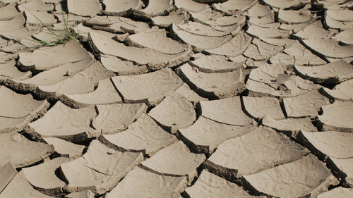 Can law really curb greenhouse gases?